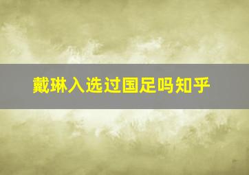 戴琳入选过国足吗知乎