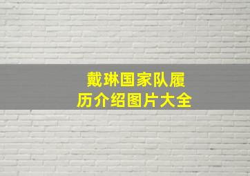 戴琳国家队履历介绍图片大全