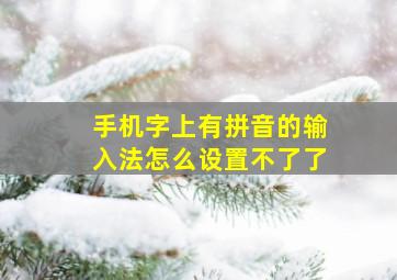 手机字上有拼音的输入法怎么设置不了了