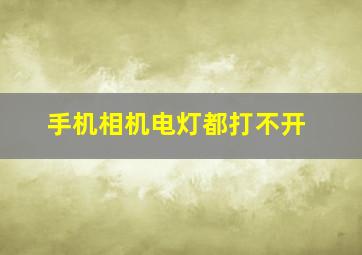 手机相机电灯都打不开