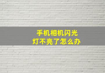 手机相机闪光灯不亮了怎么办