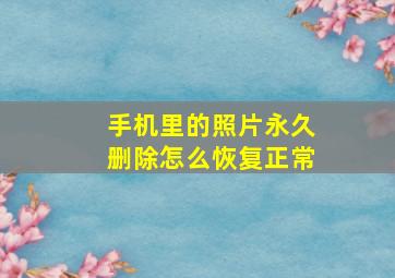 手机里的照片永久删除怎么恢复正常