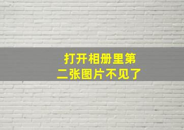 打开相册里第二张图片不见了