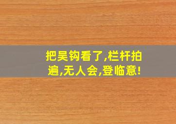 把吴钩看了,栏杆拍遍,无人会,登临意!