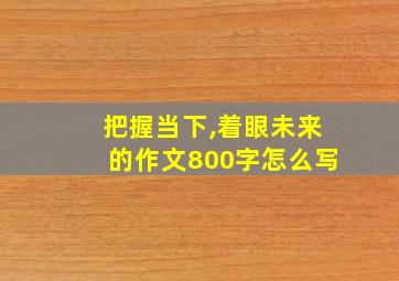 把握当下,着眼未来的作文800字怎么写