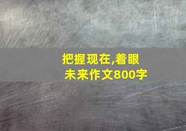 把握现在,着眼未来作文800字