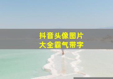 抖音头像图片大全霸气带字