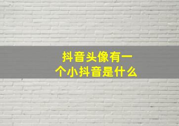 抖音头像有一个小抖音是什么