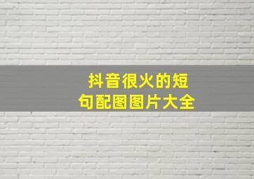 抖音很火的短句配图图片大全