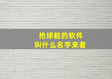 抢球鞋的软件叫什么名字来着