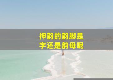 押韵的韵脚是字还是韵母呢