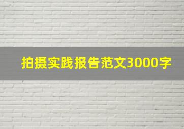 拍摄实践报告范文3000字