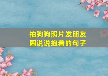 拍狗狗照片发朋友圈说说抱着的句子