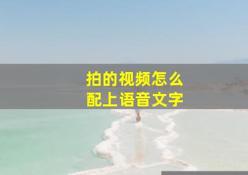 拍的视频怎么配上语音文字