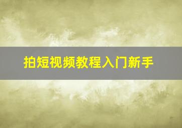 拍短视频教程入门新手