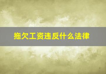 拖欠工资违反什么法律