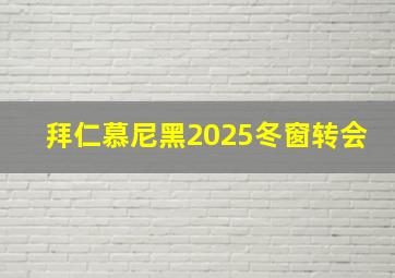 拜仁慕尼黑2025冬窗转会