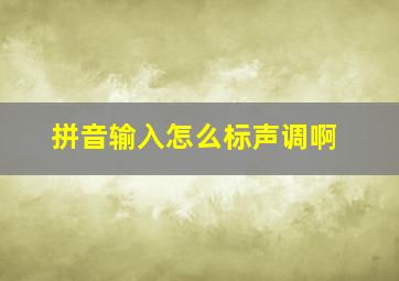 拼音输入怎么标声调啊