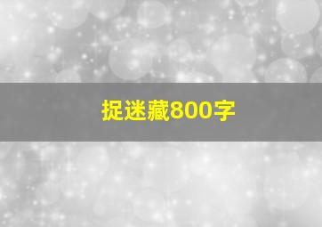 捉迷藏800字