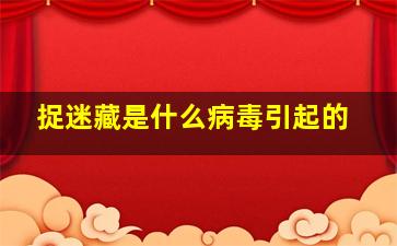 捉迷藏是什么病毒引起的