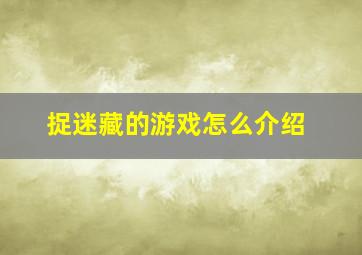 捉迷藏的游戏怎么介绍