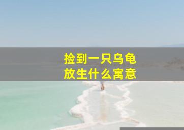 捡到一只乌龟放生什么寓意