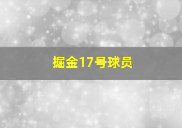 掘金17号球员