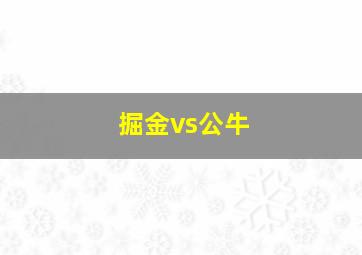 掘金vs公牛