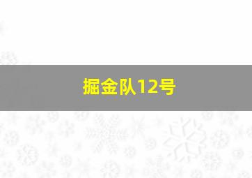 掘金队12号