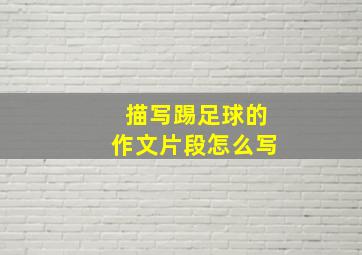 描写踢足球的作文片段怎么写