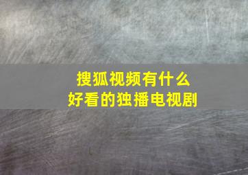 搜狐视频有什么好看的独播电视剧