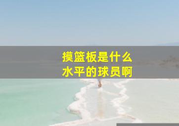 摸篮板是什么水平的球员啊