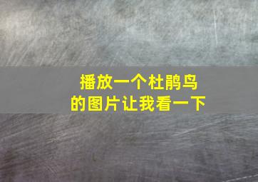 播放一个杜鹃鸟的图片让我看一下