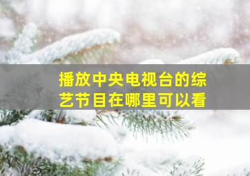 播放中央电视台的综艺节目在哪里可以看