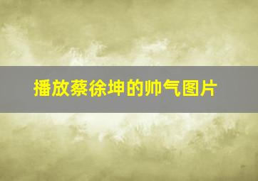 播放蔡徐坤的帅气图片