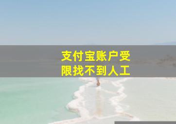 支付宝账户受限找不到人工