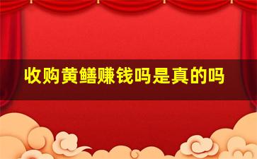 收购黄鳝赚钱吗是真的吗