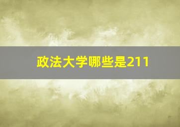 政法大学哪些是211