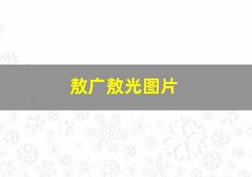 敖广敖光图片