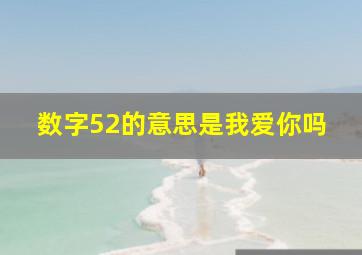 数字52的意思是我爱你吗