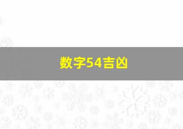 数字54吉凶