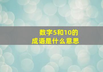 数字5和10的成语是什么意思