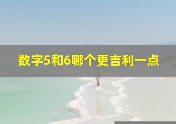 数字5和6哪个更吉利一点