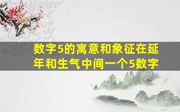 数字5的寓意和象征在延年和生气中间一个5数字