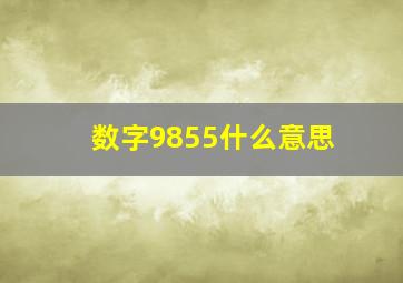 数字9855什么意思