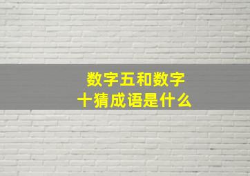 数字五和数字十猜成语是什么