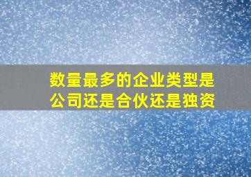 数量最多的企业类型是公司还是合伙还是独资