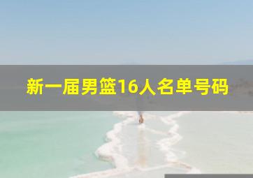 新一届男篮16人名单号码