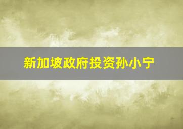 新加坡政府投资孙小宁