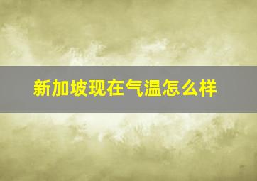 新加坡现在气温怎么样